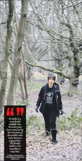  ?? PICTURE: SCOTT MERRYLEES ?? THORNY ISSUE: Campaigner­s such as Liz Ballard from the Sheffield and Rotherham Wildlife Trust are locked in a long-running battle with a motorway services firm over Smithy Wood, which is situated close to the M1 near Sheffield.