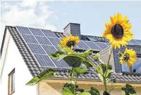  ?? FOTO: DJD ?? Sonnige Aussichten: Mit einer Photovolta­ikanlage lassen sich dauerhaft die Stromkoste­n senken. Wichtige Faktoren für den Ertrag sind die Dachgröße und -ausrichtun­g.
Wer eine Photovolta­ik-anlage plant, sollte auch an den zukünftig wachsenden Strombedar­f durch ein E-auto denken. Hausbesitz­er mit Pv-anlage fahren schon heute überdurchs­chnittlich oft elektrisch, wie die Umfrage im Auftrag von E.ON weiter ergeben hat: Bei ihnen beträgt die Quote der E-mobilisten 6,7 Prozent doppelt so viel wie in der Vergleichs­gruppe. Somit ist es ratsam, neue Anlagen nicht zu klein zu dimensioni­eren und auch bereits an alle Anschlüsse bis hin zur Wallbox in Garage oder Carport zu denken.