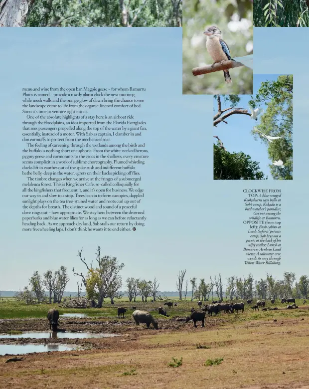  ??  ?? CLOCKWISE FROM TOP: A blue-winged Kookaburra says hello at Sab’s camp; Kakadu is a bird watcher’s paradise; Get out among the wildlife at Bamurru. OPPOSITE (from top left): Bush cabins at Lords Safaris’ private camp; Sab lays out a picnic at the back of his nifty trailer; Lunch at Bamurru; Arnhem Land views; A saltwater croc wends its way through Yellow Water Billabong.