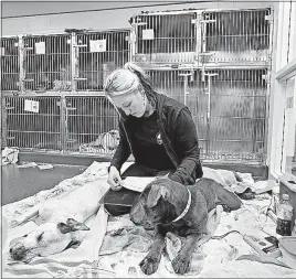  ?? [DISPATCH FILE PHOTO] ?? Assistant veterinary technician Kelsey Darner monitors several dogs as they wake up after spay or neuter surgeries at the Franklin County Dog Shelter & Adoption Center. The North Side shelter took in about 10,000 dogs last year, only 14.4 percent of...