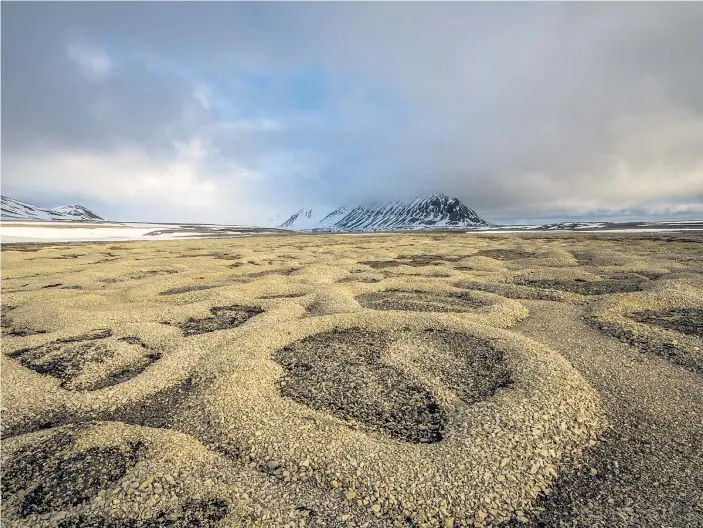  ??  ?? Wo die Winterkält­e Risse im Permafrost­boden hinterläss­t, lagern Schmelzwas­serbäche im Frühjahr gern Steinchen und anderes Treibgut ab, wie hier in Spitzberge­n.