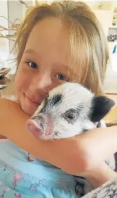  ?? Pictures: CROXTON FAMILY ?? PIGGY IN THE MIDDLE: Bella Croxon cuddling her potbellied-pig Topaz in happier times. When she got bigger, Topaz began disturbing the neighbours