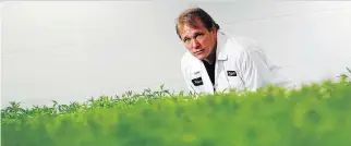  ?? DARREN BROWN ?? Bruce Linton, CEO of Canopy Growth, says the company is aiming to be “best positioned” when the legalizati­on of marijuana arrives.