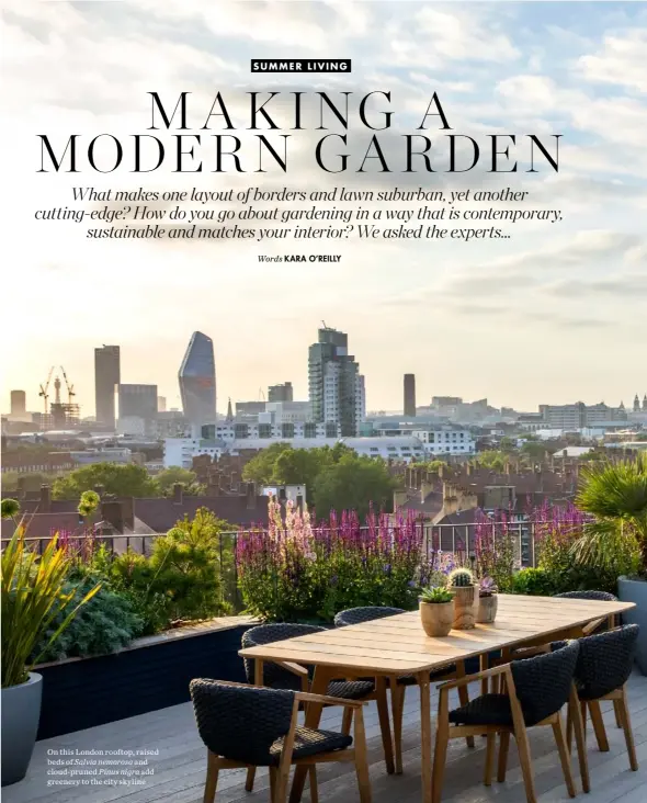  ??  ?? On this London rooftop, raised beds of Salvia nemorosa and cloud-pruned Pinus nigra add greenery to the city skyline