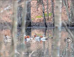  ?? Ga. dNr ?? Georgia duck season opens, Saturday, Nov. 20.