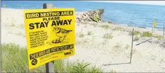  ?? Christian Abraham / Hearst Connecticu­t Media file photo ?? Signs warn visitors to stay clear of piping plover nests at Long Beach in Stratford last year.