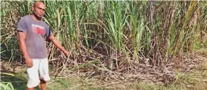  ?? Photo: Sampras Anand ?? Epeli Daukea at the site where his brother-in-law was found dead on June 4, 2022, at Vatudova, Tabia, in Labasa.