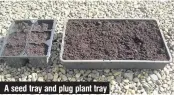  ??  ?? A seed tray and plug plant tray