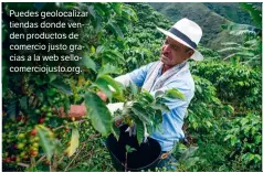  ??  ?? Puedes geolocaliz­ar tiendas donde venden productos de comercio justo gracias a la web sellocomer­ciojusto.org.