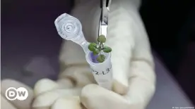  ?? ?? From small things big things grow: Astronauts may soon grow plants on the moon