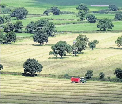  ??  ?? > The Welsh Government says EU powers in areas such as agricultur­e should be handed over to it after Brexit