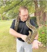  ?? JONES/DAILY SOUTHTOWN BILL ?? Colin Langenderf­er helps to guide a Burmese python named Phil as it slithers around his neck and down his arm.