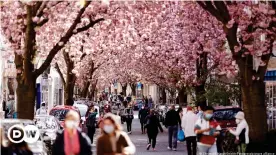  ??  ?? Even a day under Bonn's beautiful cherry blossoms can be exhausting if all you're used to is isolating at home