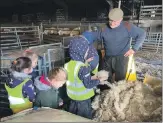  ?? ?? The children learning about wool at Ifferdale Farm.