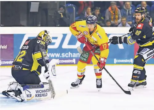  ?? FOTO: BIRGIT HÄFNER ?? Eine Derbyszene aus der vergangene­n Saison: DEG-Stürmer Leon Niederberg­er scheitert an Pinguine-Torhüter Dimitri Pätzold.