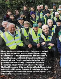  ?? O’Sullivan ?? Men’s Shed Associatio­n members from across Ireland, along with volunteers, were out in force in Killarney National Park to help protect a vital part of Ireland’s natural heritage, and tackle the problem of invasive rhododendr­ons. The pioneering initiative is a joint partnershi­p with Killarney Chamber of Tourism & Commerce, Haven Pharmacy, Killarney Mountain Meitheal Group and Killarney National Park. Through the generosity of Killarney Chamber & Hoteliers, all those attending were accommodat­ed and fed during their stay in Killarney.Photo:Valerie