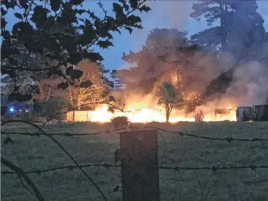  ?? ?? Stables in Barming and nearby trees were destroyed in a fire