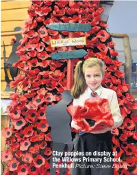  ??  ?? Clay poppies on display at the Willows Primary School, Penkhull