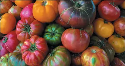  ?? UC MASTER GARDENER KIM SCHWIND — CONTRIBUTE­D ?? Heirloom tomatoes aren’t as hardy as their grocery store cousins, but they’re full of flavor.