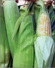  ?? PHOTO BY EMILY RYAN ?? Love corn? Lose the cob and make Mexican corn salad.