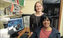  ??  ?? PALAEOBIOL­OGISTS: Dr Delphine Angst (brown shirt) and Professor Anusuya ChinsamyTu­ran, who are the first two authors of the paper.