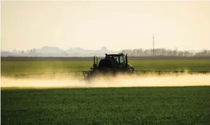  ?? ?? Tractor with the help of a sprayer sprays liquid fertilizer­s on young wheat in the field. Photograph: Leonid Eremeychuk/Getty Images/ iStockphot­o