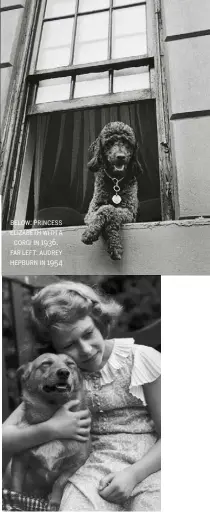  ??  ?? below: princess elizabeth with a corgi in 1936. far left: audrey hepburn in 1954