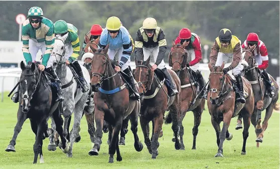  ?? Picture: Gareth Jennings. ?? Eventual winner Just Before Dawn sets the pace in the opening race of Perth’s evening meeting.