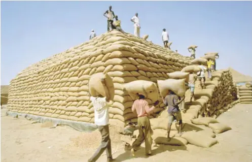  ??  ?? Once a booming farming business in Kano, had been abandoned