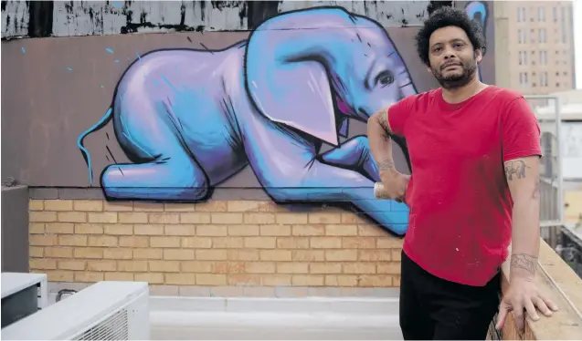  ?? Picture: Tracy Lee Stark ?? POST ‘STRUGGLE’. Graffiti street artist Falko poses in front of one of his trademark elephants, painted on a rooftop in Braamfonte­in, Johannesbu­rg. He has painted a herd gallery and a collection of site-specific works on the rooftop of a hotel.