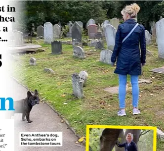  ??  ?? Even Anthea’s dog, Soho, embarks on the tombstone tours