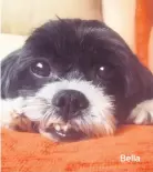  ??  ?? Bella