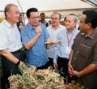  ??  ?? Local specialty: Liow (in blue) showing the Bentong ginger to (from left) Dongguan Institute of Opto Electronic­s of Peking University Prof Zhang Guoyi, programme committee chairman Lee Yoke Leong, Tunku Abdul Rahman University College president Datuk...