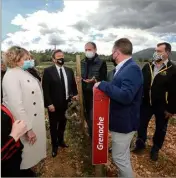  ?? (Photo Laurent Martinat) ?? Au domaine Peirecedes à Cuers, élus et viticulteu­rs ont échangé sur les solutions pour faire face rapidement aux conséquenc­es du gel.