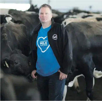  ?? PETER POWER/FILES ?? Murray Sherk milks 125 dairy cows in Plattsvill­e, Ont., about 120 kilometres west of Toronto. A renewed enthusiasm for Canada’s milk due to lower domestic prices rather than tariffs means that there appears to be very little that U.S. President Donald...
