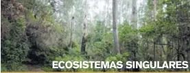  ??  ?? ECOSISTEMA­S SINGULARES