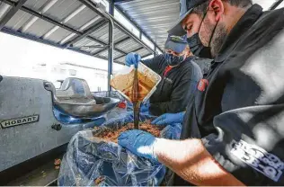  ?? Photos by Steve Gonzales / Staff photograph­er ?? Tin Roof BBQ owner Brek Webber, right, and Raines Raines prepare shredded pork for sandwiches for Operation BBQ Relief.