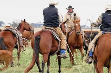  ?? Photos by Sharon Steinmann/Staff photograph­er ?? Ranchers Loy Sneary and son Adam say they converted their 4,000 acres to “adaptive high-stock density grazing” six years ago, rotating the cattle, often daily, into much smaller areas to prevent overgrazin­g.