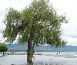  ?? GARY NYLANDER/The Okanagan Sunday ?? Beaches along Okanagan Lake took a pounding from a wind storm that hit on Tuesday night, with gusts reaching 74 kilometres per hour.