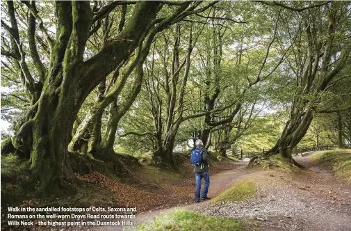  ??  ?? Walk in the sandalled footsteps of Celts, Saxons and Romans on the well-worn Drove Road route towards Wills Neck – the highest point in the Quantock Hills