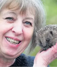  ??  ?? Lewis from Rochdale Hedgehog Rescue Centre with a juvenile hedgehog