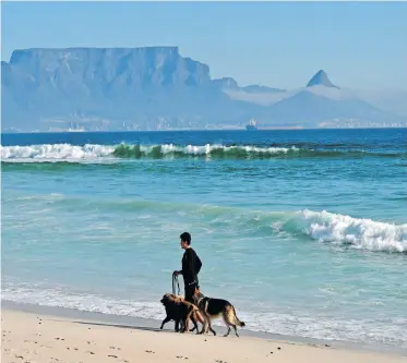  ?? AYANDA NDAMANE Independen­t Newspapers ?? A RESIDENT walks her dogs at Bloubergst­rand. Signage was recently erected informing the public that no dogs were allowed on the beach.