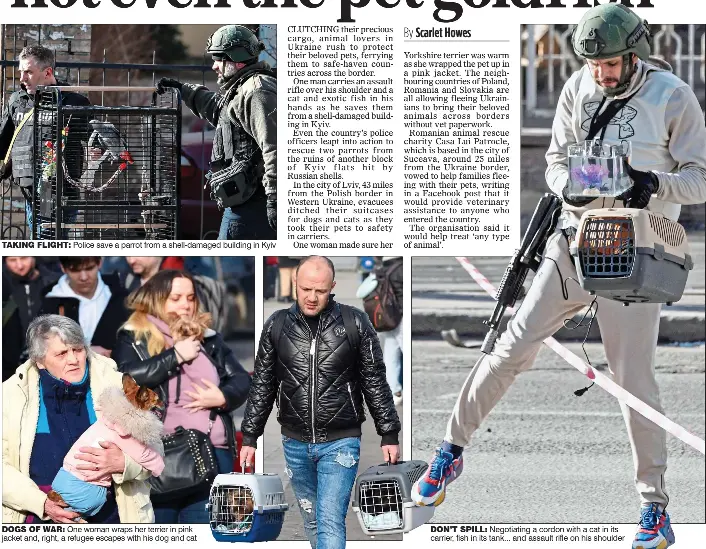No one gets left behind – not even the pet goldf ish - PressReader