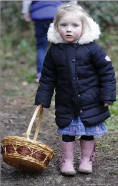  ??  ?? Anna Denk taking part in the Newtown Tidy Towns Easter Egg Hunt at the Coillte Woods.