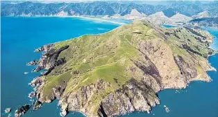  ?? PHOTO: SOTHEBY’S INTERNATIO­NAL REALTY ?? On the market . . . Pepin Island, off the Cable Bay coast, has been listed for $16 million.