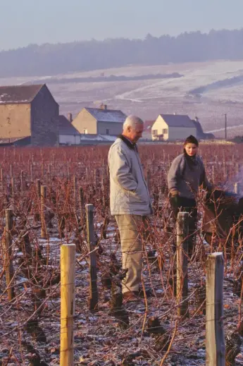  ??  ?? Right: Jacques Seysses of Domaine Dujac (far left) describes climate change as ‘our phylloxera’, every bit as serious as the aphid that destroyed vineyards
