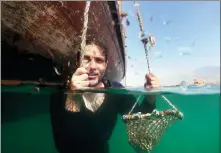  ?? GIUSEPPE CACACE / AFP ?? Abdullah al-Suwaidi on Oct 31 demonstrat­es at his pearl farm, in the northern emirate of Ras al-Khaimah, how his ancestors gathered oysters from the seabed.