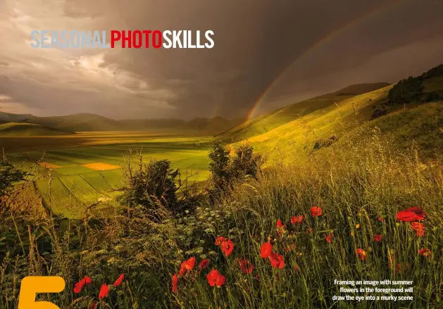  ??  ?? Framing an image with summer flowers in the foreground will draw the eye into a murky scene