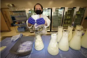  ?? AP Photo/David Zalubowski ?? ■ Rebecca Heinrich, director of the Mothers’ Milk Bank, loads frozen milk donated by lactating mothers from plastic bags May 13 into bottles for distributi­on to babies at the foundation’s headquarte­rs in Arvada, Colo.