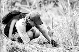  ??  ?? A Smart employee plants a seedling during a tree planting activity on Mt. 387 in Carranglan, Nueva Ecija, in September 2018.